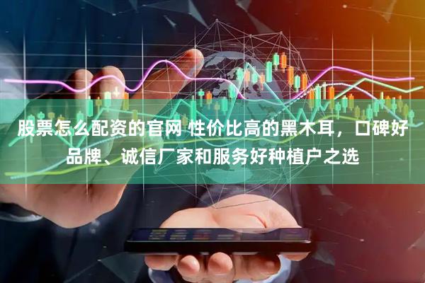 股票怎么配资的官网 性价比高的黑木耳，口碑好品牌、诚信厂家和服务好种植户之选